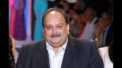 Fugitive businessman Mehul Choksi arrested in Belgium over PNB scam