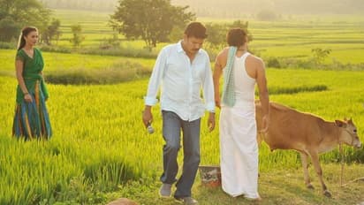 தமிழ்நாட்டின் பேவரைட் ஷூட்டிங் ஸ்பாட்; இந்த ஊரில் மட்டும் 1500 படங்கள் எடுக்கப்பட்டுள்ளதா?