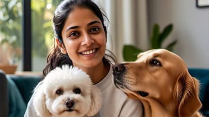 ನಾಯಿ ಬಟ್ಟೆ ಖರೀದಿಗೆ ಜಪಾನ್‌, ಕೊರಿಯಾಕ್ಕೆ ಹೋಗ್ತಾಳೆ ಮಹಿಳೆ : ಉಡುಪು ಇಡಲು 24 ದಶಲಕ್ಷ ಬೆಲೆಯ ಕಪಾಟು