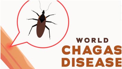 Could your home be inviting the 'kissing bug'?