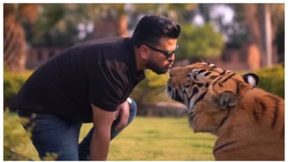 കടുവയെ ചുംബിക്കാന്‍ ശ്രമിക്കുന്ന പാക് യുവാവ്; വിമർശിച്ചും അനുകൂലിച്ചും ആരാധകർ, വീഡിയോ വൈറൽ 