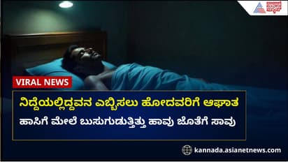ನಿದ್ದೆಯಲ್ಲಿದ್ದಾಗ 10 ಬಾರಿ ಕಚ್ಚಿದ ಹಾವು: ಯುವಕ ಸಾವು