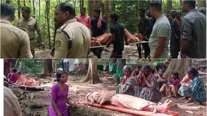 വനാതിർത്തികളിലെ ജനങ്ങളെ വിധിക്ക് വിട്ടുകൊടുക്കുന്നു, മന്ത്രി എന്തിനാണ് ആ സ്ഥാനത്തിരിക്കുന്നതെന്ന് വിഡിസതീശന്