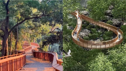 Mumbai's Elevated Nature Trail: Check Timings, Tickets, and Highlights