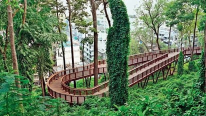 Malabar Hill nature trail