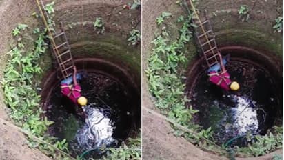 ആദ്യം ഏണിയറക്കി, പിന്നെ കുട്ടയിറക്കി, രണ്ട് ദിവസം പഠിച്ചപണി പതിനെട്ടും നോക്കി, കിണറ്റിൽ നിന്ന് കയറാതെ മൂര്‍ഖൻ