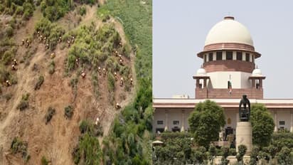 Hyderabad: రేవంత్‌ సర్కారుకు సుప్రీం మొట్టికాయలు.. HCU భూములపై ఆగ్రహం 