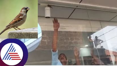 ಅಂಗಡಿಯ ಬೀಗ ಒಡೆದು ಕೇರಳಿಗರನ್ನು ಒಗ್ಗೂಡಿಸಿತು ಈ ಗುಬ್ಬಿ! ಅಬ್ಬಾ ಎನ್ನೋ ಘಟನೆ ಇದು