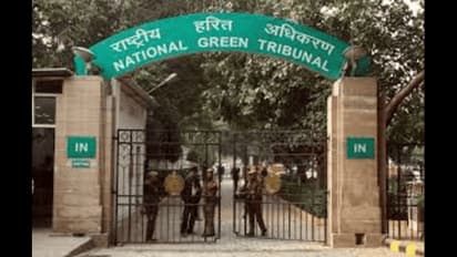 NGT slams Karnataka over waste management gaps, seeks report by October