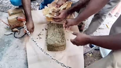 രഹസ്യ വിവരം കിട്ടി റെയിൽവെ സ്റ്റേഷൻ പരിസരത്ത് നിരീക്ഷണം; ഒറീസയിൽ നിന്നെത്തിച്ച കഞ്ചാവുമായി രണ്ട് പേർ പിടിയിൽ