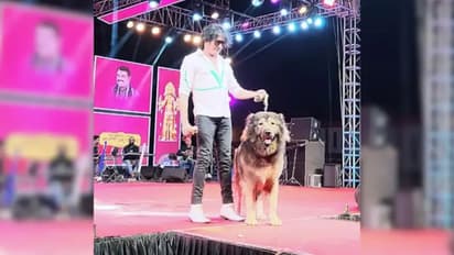 50 കോടി രൂപ വിലയുള്ള വോൾഫ് ഡോ​ഗിനെ സ്വന്തമാക്കിയതിന് പിന്നാലെ സതീഷിന്‍റെ  വീട്ടിൽ ഇഡി റെയ്ഡ്, വ്യാപക പരിശോധന