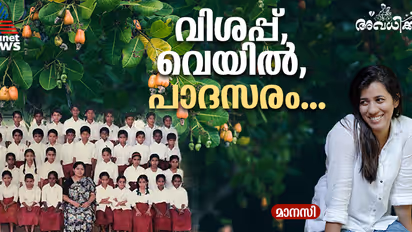 ഉച്ചി തൊടുന്ന വെയില്‍, കൂച്ചിക്കെട്ടുന്ന പള്ള, പാദസരം എന്ന മോഹം; കശുവണ്ടിത്തോട്ടത്തിലെ വെക്കേഷന്‍! 