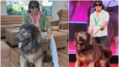 50 കോടിയുടെ പട്ടിയെ വാങ്ങിയെന്ന് സതീഷ്, ഇഡി പാഞ്ഞെത്തി, മിന്നൽ പരിശോധനയിൽ 'പട്ടി കിടന്നിടത്ത് പൂടപോലുമില്ല'