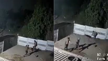 Pet dog turns hero! Owner survives midnight assault by 3 masked men in Gujarat (WATCH)