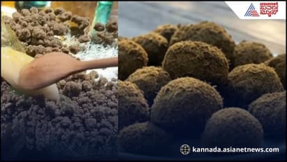 ಆನೆ ಲದ್ದಿಯನ್ನೂ ಬಿಟ್ಟಿಲ್ಲ ಚೀನಾ, ಇದ್ರಿಂದ ಸಿದ್ಧವಾಗಿದೆ ಲಡ್ಡು!