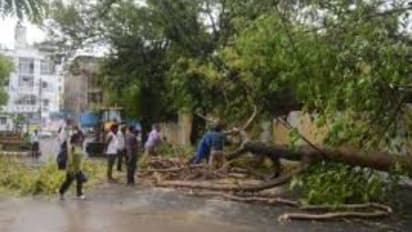 Kolkata Weather LATEST update: Rainfall or heatwave? THIS is the forecast; Check here