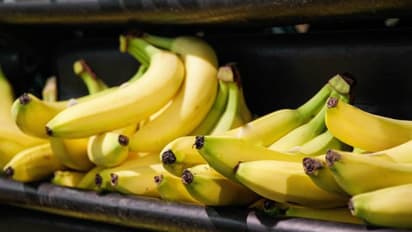 ತಪ್ಪಿಯೂ ಈ  10 ಪದಾರ್ಥಗಳನ್ನು ಫ್ರಿಡ್ಜ್‌ನಲ್ಲಿ ಇಡಬೇಡಿ 