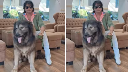 ഇഡി റെയ്ഡിന് പിന്നാലെ വൻ ട്വിസ്റ്റ്, 50 കോടി രൂപയ്ക്ക് വോൾഫ് ഡോഗിനെ സ്വന്തമാക്കിയെന്ന് പറഞ്ഞത് കള്ളം