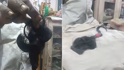up news dowry violence hardoi husband cuts wife hair video viral