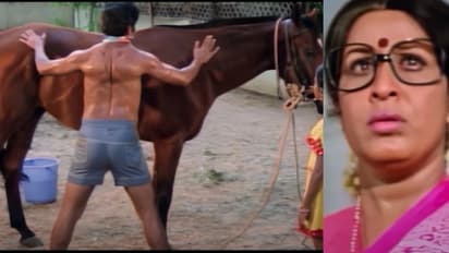 നായകൻ ജയൻ, 1979ലെ സൂപ്പർ ഹിറ്റ് ചിത്രം; ശരപഞ്ജരം ഏപ്രിൽ 25ന് തിയറ്ററിൽ, ട്രെയിലർ എത്തി