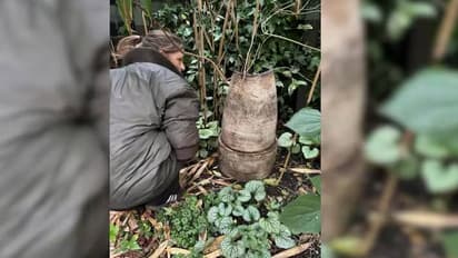 65 ലക്ഷം രൂപ! പൂന്തോട്ടത്തിൽ കണ്ട പഴയ തകർന്ന പൂച്ചട്ടി ലേലത്തിൽ വിറ്റത് വൻ തുകയ്ക്ക്! കാരണമുണ്ട്