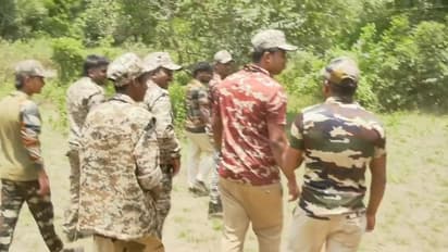 ಹತ್ತು ದಿನಗಳಲ್ಲಿ ಐದು ಜಾನುವಾರುಗಳ ಕೊಂದ ಹುಲಿ: ಅರಣ್ಯ ಇಲಾಖೆ ಕಾರ್ಯಾಚರಣೆ