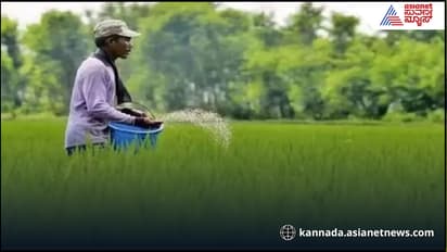 ಮೆಟಲ್ ಮಾಲಿನ್ಯದಿಂದ ವಿಷಕಾರಿಯಾದ ಮಣ್ಣು, ಅಪಾಯದಲ್ಲಿ 1.4 ಬಿಲಿಯನ್ ಜನ