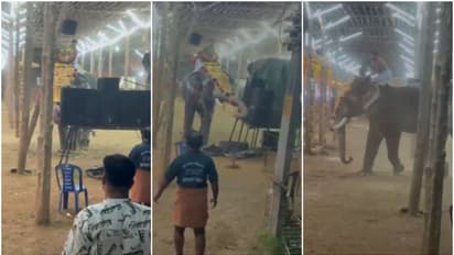 ആനക്കലിക്ക് കാരണം ലേസർ ലൈറ്റെന്ന് ക്ഷേത്രസമിതി; തിടമ്പ് കൈവിടാതെ ആനപ്പുറത്തിരുന്ന കേശവൻ നമ്പൂതിരിക്ക് ആദരം