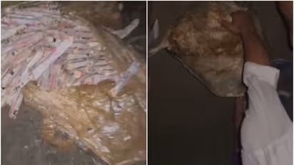 മീൻ പിടിക്കാൻ എത്തിയവർ പാറക്കുളത്തിൽ വല എറിഞ്ഞു, വലയിൽ കുരുങ്ങിയത് കണ്ട് ഞെട്ടൽ, മീനല്ല പകരം സ്ഫോടക വസ്തുക്കൾ