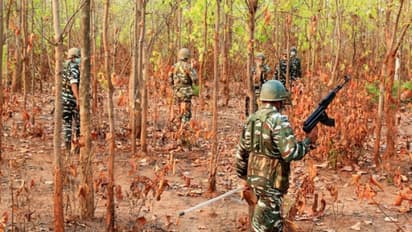 Jharkhand: 8 Naxals shot dead in Bokaro, top Maoist with Rs 1 crore reward among them; arms recovered