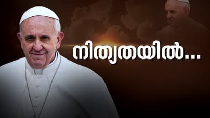 ആദ്യം ക്ഷണിച്ചത് 2021ൽ, മഹത്തായ സമ്മാനമെന്ന് പാപ്പ; ഇന്ത്യ സന്ദർശനം നടന്നില്ല, മഹാഇടയന് വേദനയോടെ വിട നൽകി ലോകം