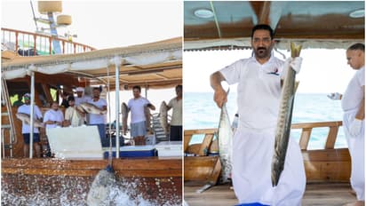 ഖത്തറിന്റെ സമ്പന്നമായ സമുദ്ര പൈതൃകം ആഘോഷമാക്കി സിൻയാർ ഫെസ്റ്റിവൽ