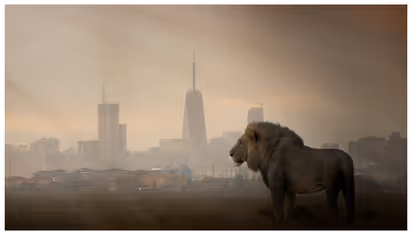 ദേശീയ പാര്ക്കില് നിന്നും പുറത്ത് കടന്ന സിംഹം, വീട്ടില് കയറി 14 കാരിയെ കടിച്ച് കൊന്നു; സംഭവം കെനിയയില്