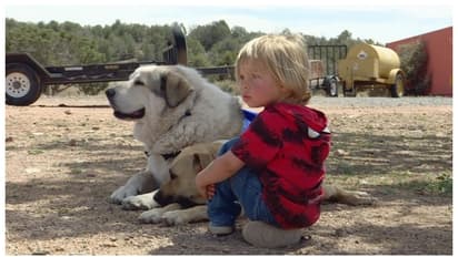 40 ഉദ്യോഗസ്ഥർ 16 മണിക്കൂർ അന്വേഷിച്ചിട്ടും കണ്ടെത്തിയില്ല, ഒടുവിൽ രണ്ട് വയസുകാരനെ കണ്ടെത്തിയത് വളർത്തുനായ ! 
