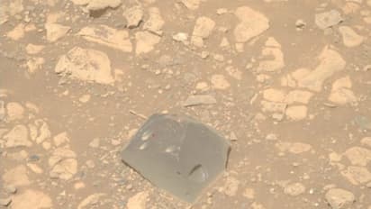 ചൊവ്വയിൽ തലയോട്ടിയുടെ ആകൃതിയിലുള്ള നിഗൂഢമായ പാറ കണ്ടെത്തി; ലോകത്തെ ഞെട്ടിച്ച് പെർസിവറൻസ് റോവര്