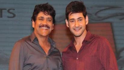 మహేష్ బాబు, నాగార్జునతో భారీ మల్టీ స్టారర్ ప్లాన్ చేసిన స్టార్ డైరెక్టర్, ఎందుకు వర్కౌట్ అవ్వలేదు. 