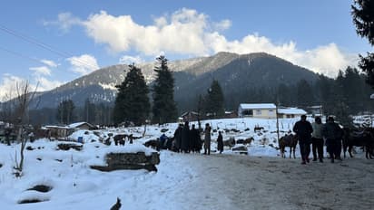 ಮಿನಿ ಸ್ವಿಟ್ಜರ್ಲೆಂಡ್ ಪಹಲ್ಗಾಮ್‌ನ  ಬೈಸರನ್  ಅನ್ನೇ ಉಗ್ರರು  ಟಾರ್ಗೆಟ್‌ ಮಾಡಿದ್ಯಾಕೆ?