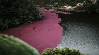 Blood River of India: ಈ ರಾಜ್ಯದಲ್ಲಿ ಹರಿಯುತ್ತೆ ಭಾರತದ ಏಕೈಕ ರಕ್ತಸಿಕ್ತ ನದಿ.. ಕೆಂಪು ಬಣ್ಣಕ್ಕೆ ಕಾರಣವೇನು?