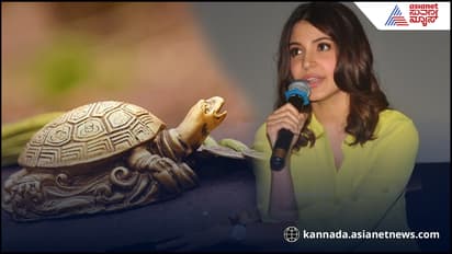 Anushka Sharma: ಟಾಪ್ ನಟಿಯಾಗಲು ಕಾರಣ ಫೆಂಗ್ ಶೂಯಿ ಆಮೆ! ಗುಟ್ಟು ರಟ್ಟು ಮಾಡಿದ ಅನುಷ್ಕಾ ಶರ್ಮಾ