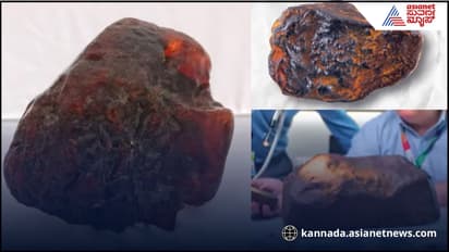 ಅಜ್ಜಿಯ ಗುಡಿಸಲಿನ ಬಾಗಲಿಗೆ ಹೊಸ್ತಿಲಾಗಿದ್ದ ಕಲ್ಲಿನ ಬೆಲೆ ₹9 ಕೋಟಿ!