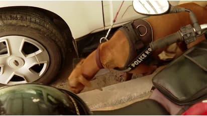 2 മണിക്ക് ബോംബ് പൊട്ടുമെന്ന് ഭീഷണി സന്ദേശം; മുഴുവൻ ജീവനക്കാരെയും പുറത്തിറക്കി പാലക്കാട് കളക്ട്രേറ്റിൽ പരിശോധന