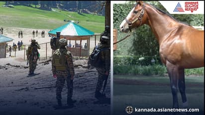 ಪೆಹಲ್ಗಾಮ್ ದಾಳಿ, 2 ಕುಟುಂಬದ 17 ಪ್ರವಾಸಿಗರ ಪ್ರಾಣ ಉಳಿಸಿದ ಕುದುರೆ