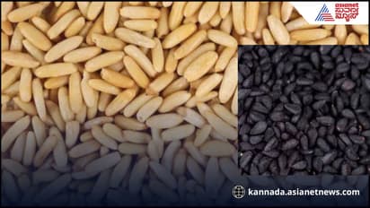 ಈ ಬೀಜಗಳು ಕೋಳಿ, ಕುರಿ ಮಾಂಸಕ್ಕಿಂತ 10 ಪಟ್ಟು ಹೆಚ್ಚು ಶಕ್ತಿಶಾಲಿ!