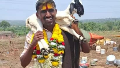 ஆடு மேய்த்த இளைஞர் UPSC தேர்வில் வெற்றி!