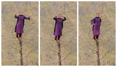 മരത്തിന്‍റെ ഏറ്റവും മുകളില്‍ നിന്ന് 'കൈവിട്ട' നൃത്തം; കശ്മീരി യുവതിയുടെ വീഡിയോ വൈറൽ 