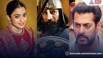 Bollywood 2025: ಸಲ್ಮಾನ್, ವಿಕ್ಕಿ, ಸನ್ನಿ, ಕಾರ್ತಿಕ್ ಚಿತ್ರಗಳ ಕಥೆ ಏನೇನಾಯ್ತು? 
