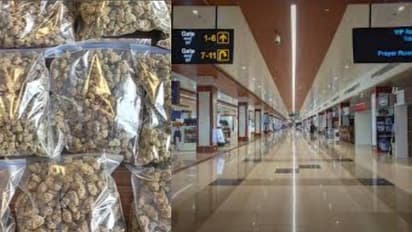 കേരളത്തിൽ നിന്ന് വിദേശത്തേക്ക് ഇതാദ്യം, കൊച്ചി ടു റാസൽഖൈമ; കടത്താൻ ശ്രമിച്ചത് അഞ്ചര കോടിയുടെ ഹൈബ്രിഡ് കഞ്ചാവ്