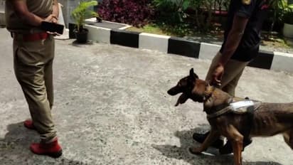 പൊലീസിനെ വട്ടം ചുറ്റിക്കുന്നത് 'സൈബർ സൈക്കോ'യെന്ന് സംശയം; വ്യാജ ബോംബ് ഭീഷണി സന്ദേശങ്ങളിൽ ഇരുട്ടിൽ തപ്പി പൊലീസ്