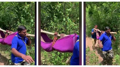 അട്ടപ്പാടിയിൽ വീണ്ടും ജീവനെടുത്ത് കാട്ടാന; വിറക് ശേഖരിക്കുന്നതിനിടെ ആക്രമണം, പരിക്കേറ്റയാള് മരിച്ചു