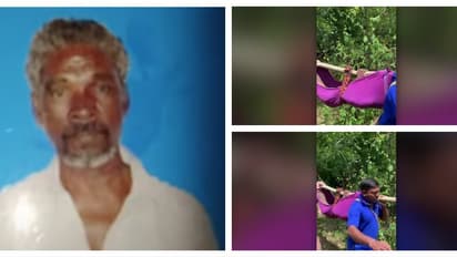 'നെഞ്ചിന് ചവിട്ടേറ്റ് വാരിയെല്ല് തകര്ന്നു, തലയ്ക്കും പരിക്ക്'; കാളിയുടെ പോസ്റ്റ്മോര്ട്ടം റിപ്പോര്ട്ട്